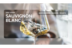 Ontsluit de geheimen van sauvignon blanc: de beste gids voor deze legendarische wijn