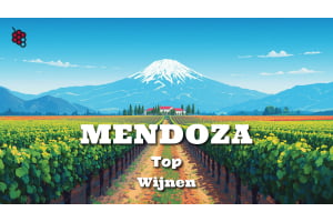 Gids voor de Top wijnen uit Mendoza, Argentinië