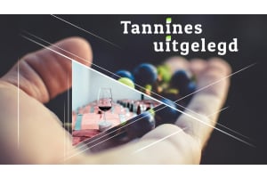 Uitleg over tannines: Hoe ze uw wijn beïnvloeden