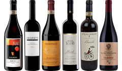 Topwaarde Barolo Proefpakket