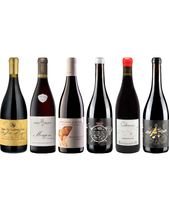 Beaujolais premium proefkoffer