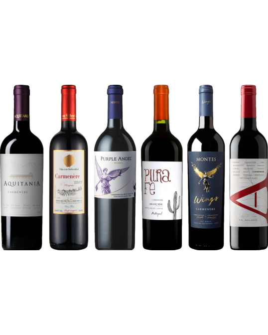 Carmenere proefkoffer