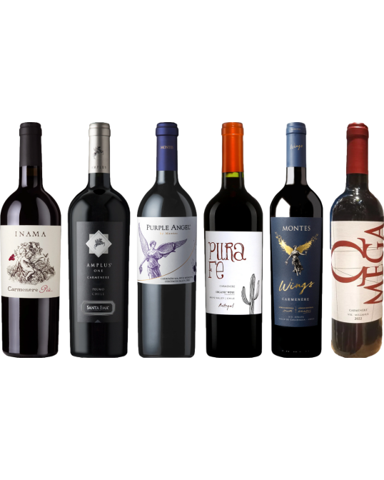 Carmenere proefkoffer