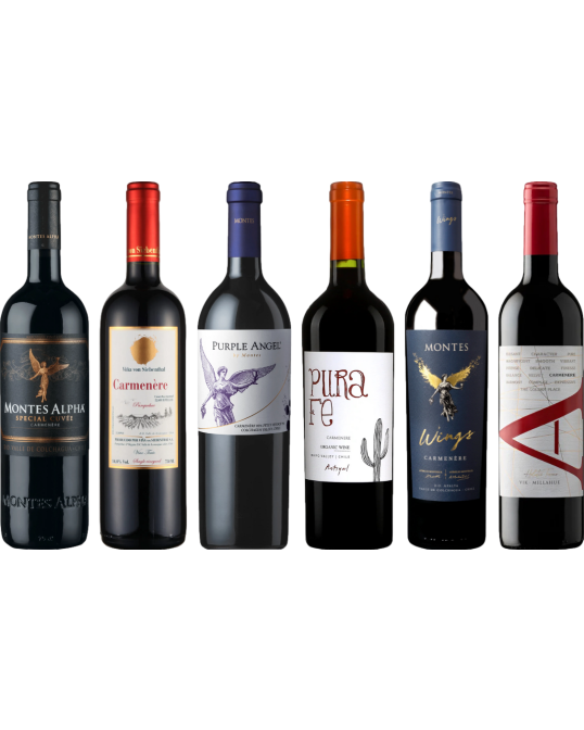 Carmenere proefkoffer