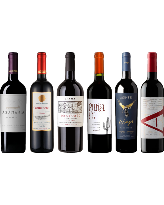 Carmenere proefkoffer