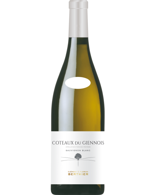 Clement & Florian Berthier Coteaux du Giennois Blanc 2023