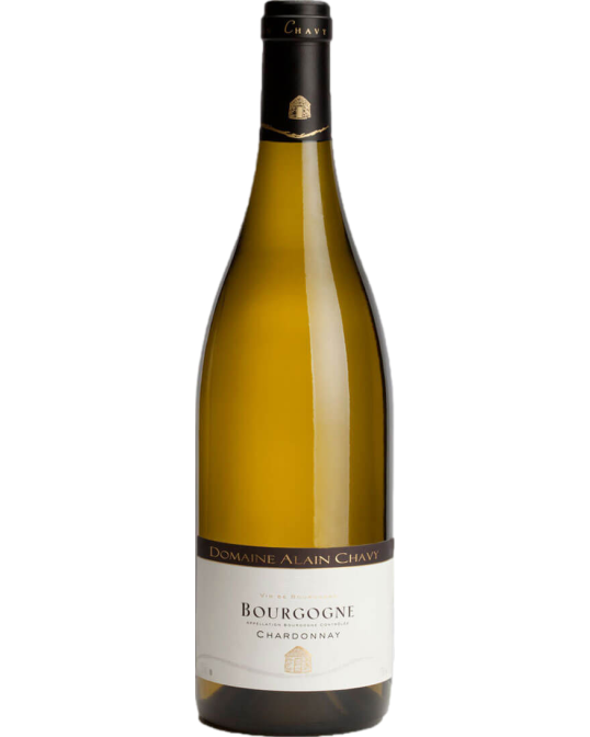 Domaine Alain Chavy Bourgogne Chardonnay 2022