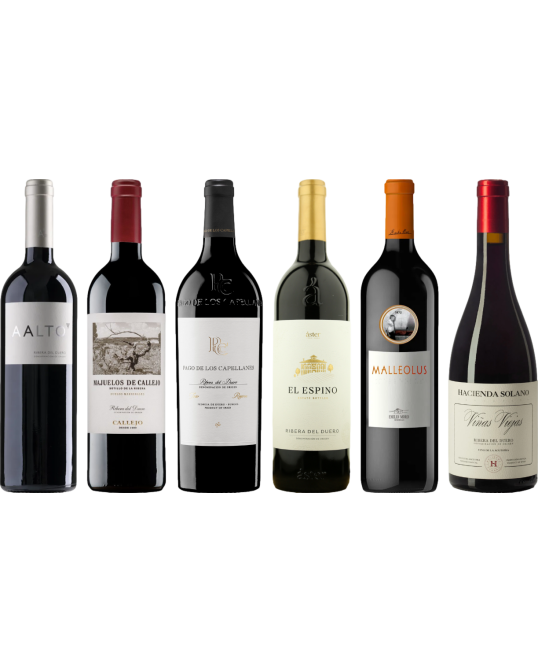 Ribera del Duero premium proefkoffer