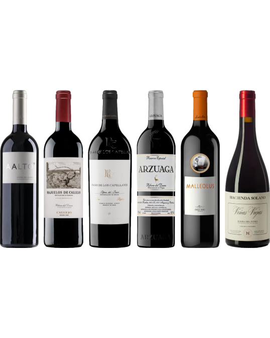 Ribera del Duero premium proefkoffer