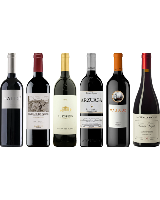 Ribera del Duero premium proefkoffer