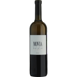 Movia Sivi Grigio Ambra 2023