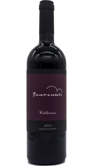 Bottle of Benvenuti Caldierosso 2015 wine 750 ml