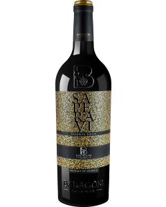 Badagoni Saperavi Reserve 2010