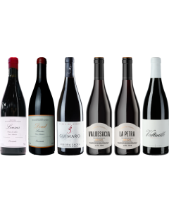 Mencia Premium Proefpakket