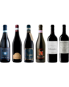 Montepulciano d'Abruzzo Premium Proefkoffer