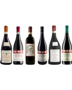 Piemonte Gattinara Premium Proefpakket