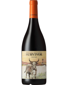 Survivor Pinotage 2021
