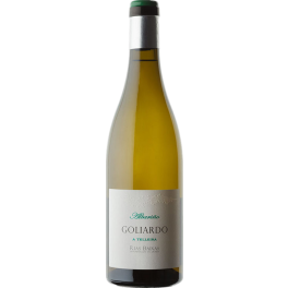 Bodegas Forjas del Salnes Goliardo A Telleira Albarino 2021