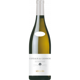 Clement & Florian Berthier Coteaux du Giennois Blanc 2023