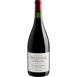 Zuccardi Poligonos Paraje Altamira Cabernet Franc 2020