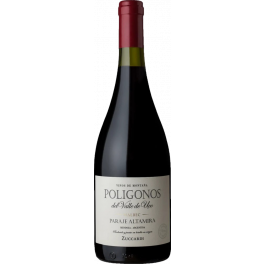 Zuccardi Poligonos Paraje Altamira Malbec 2020