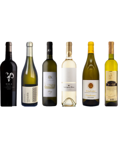 Croatian White Wine Tasting Case