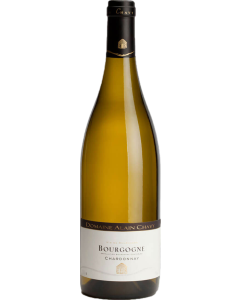 Domaine Alain Chavy Bourgogne Chardonnay 2022