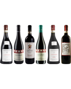 Piemonte Gattinara premium proefkoffer