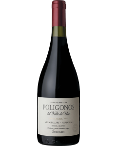 Zuccardi Poligonos Gualtallary Malbec 2022