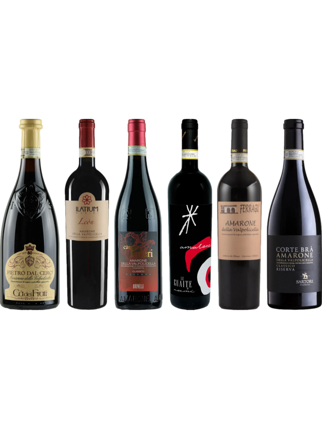 Amarone premium proefkoffer