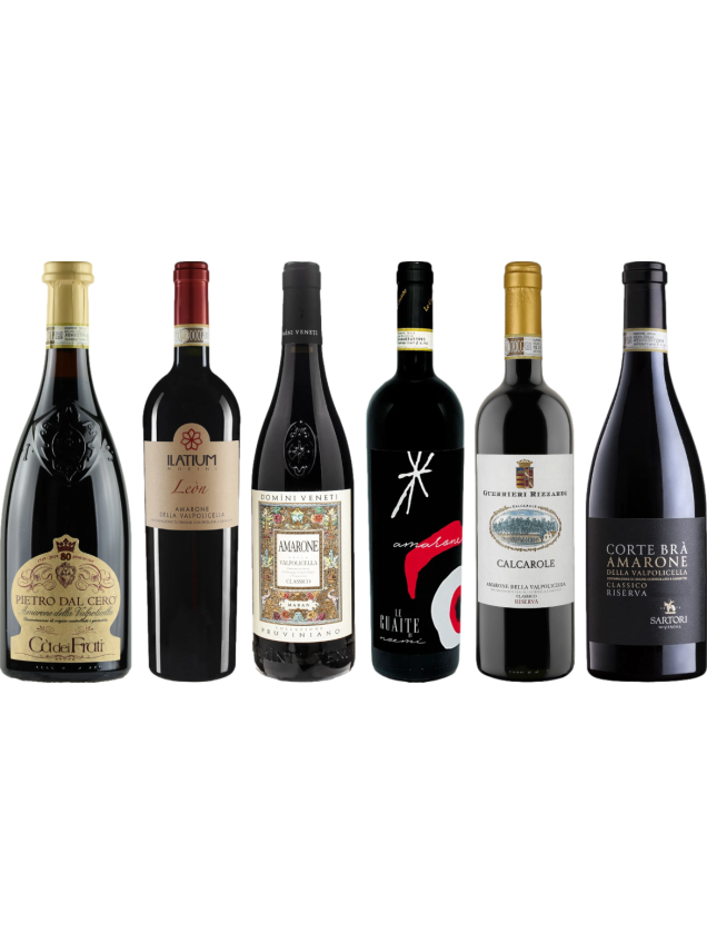 Amarone premium proefkoffer