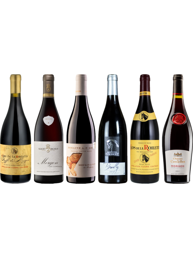 Beaujolais premium proefkoffer