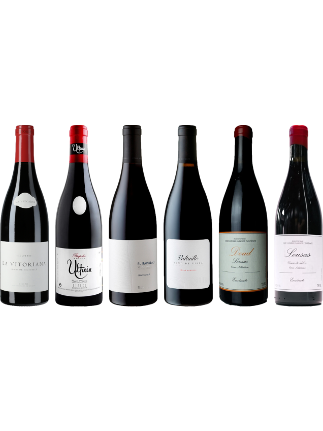 Bierzo en Galicia Mencia premium proefkoffer