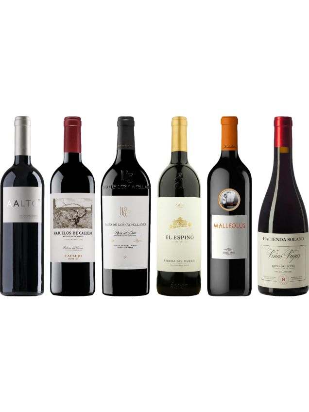 Ribera del Duero premium proefkoffer