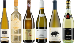 8Wines Staff Picks Witte Wijn Proefkoffer