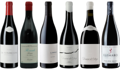 Bierzo en Galicia Mencia premium proefkoffer