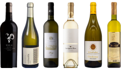 Croatian White Wine Tasting Case