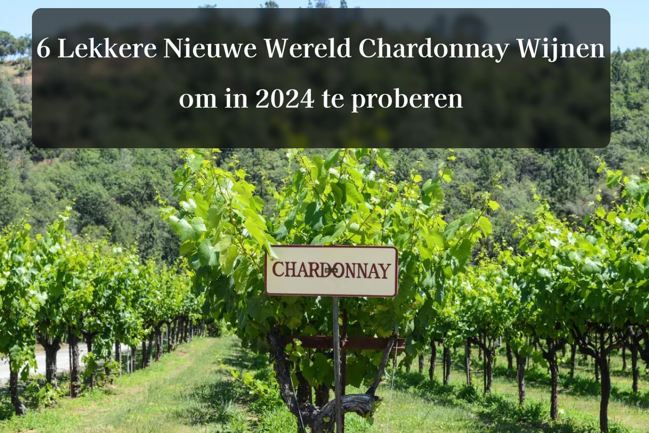 6 Lekkere Nieuwe Wereld Chardonnay Wijnen om in 2024 te proberen