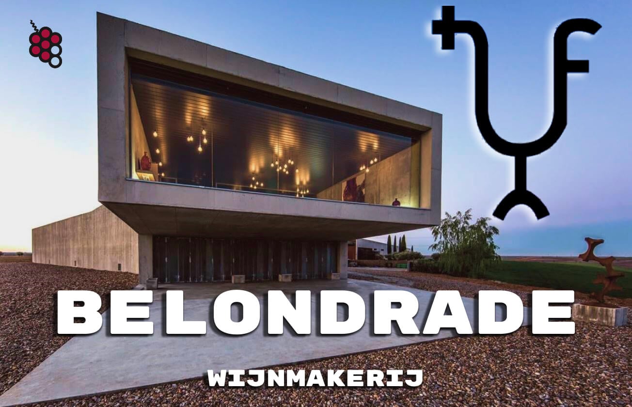 Verdejo Legends: Een gids voor de Belondrade-wijnmakerij