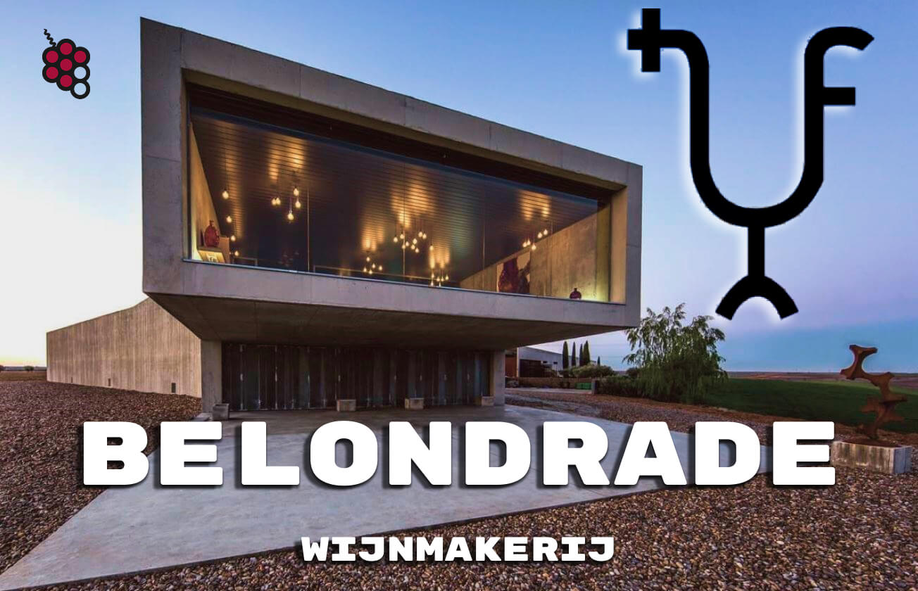 Verdejo Legends: Een gids voor de Belondrade-wijnmakerij