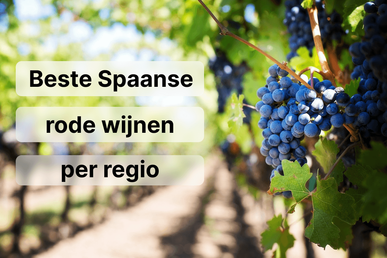 Beste Spaanse rode wijnen per regio