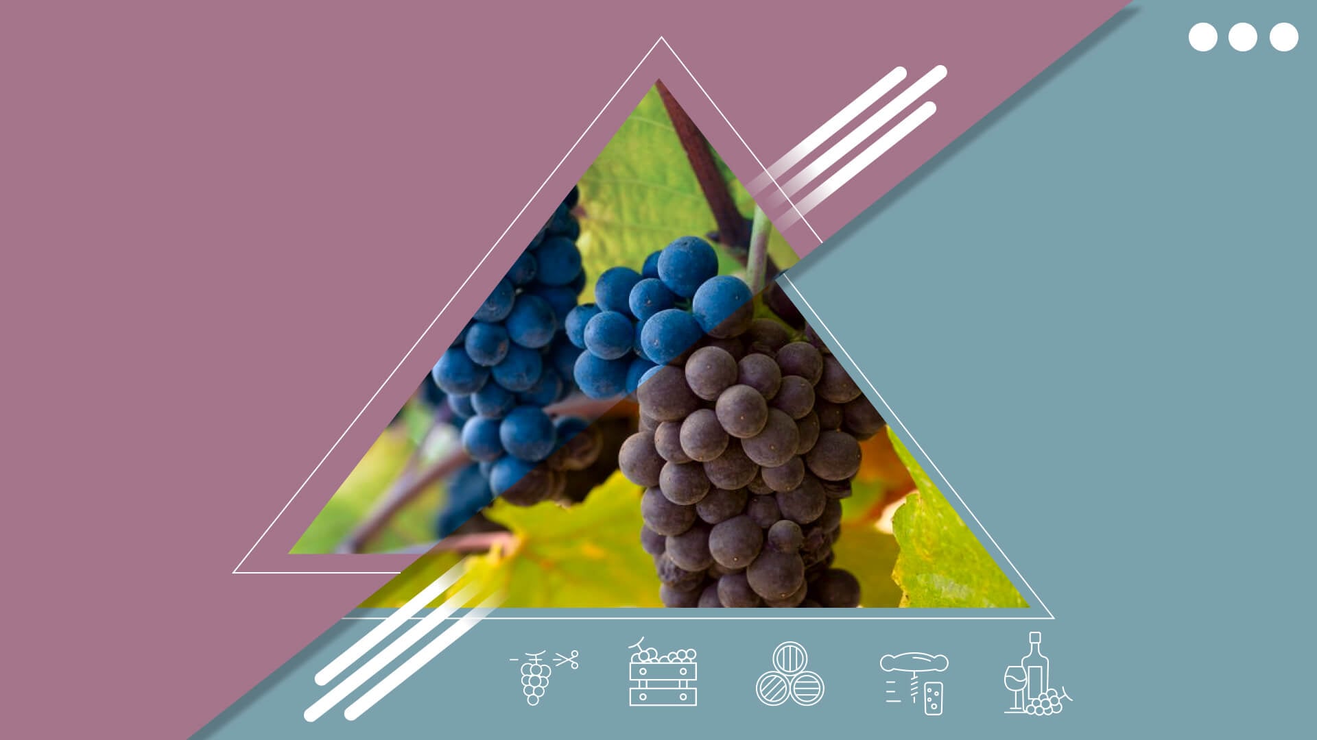Bourgogne vs. Pinot Noir uit de Nieuwe Wereld