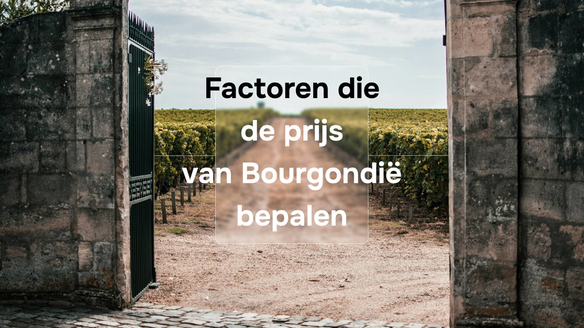 Factoren die de prijs van Bourgondië bepalen