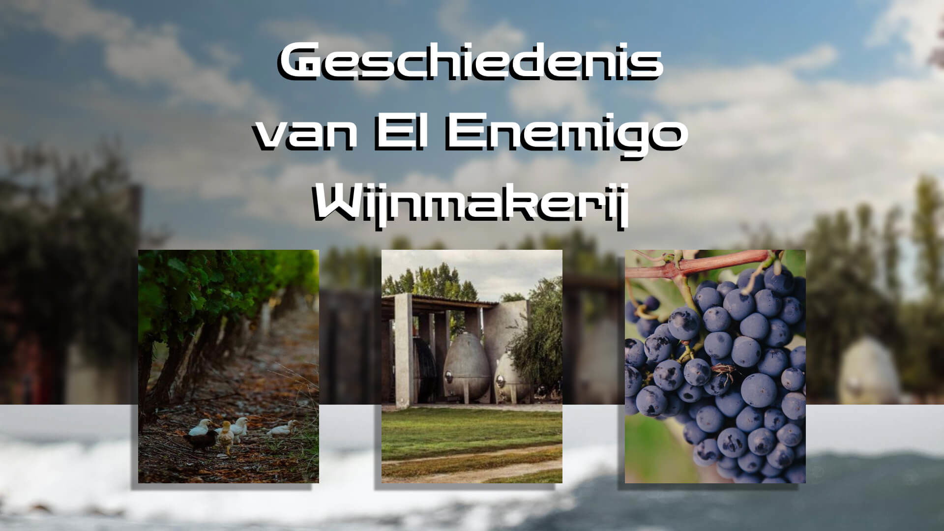 De geschiedenis van El Enemigo Winer