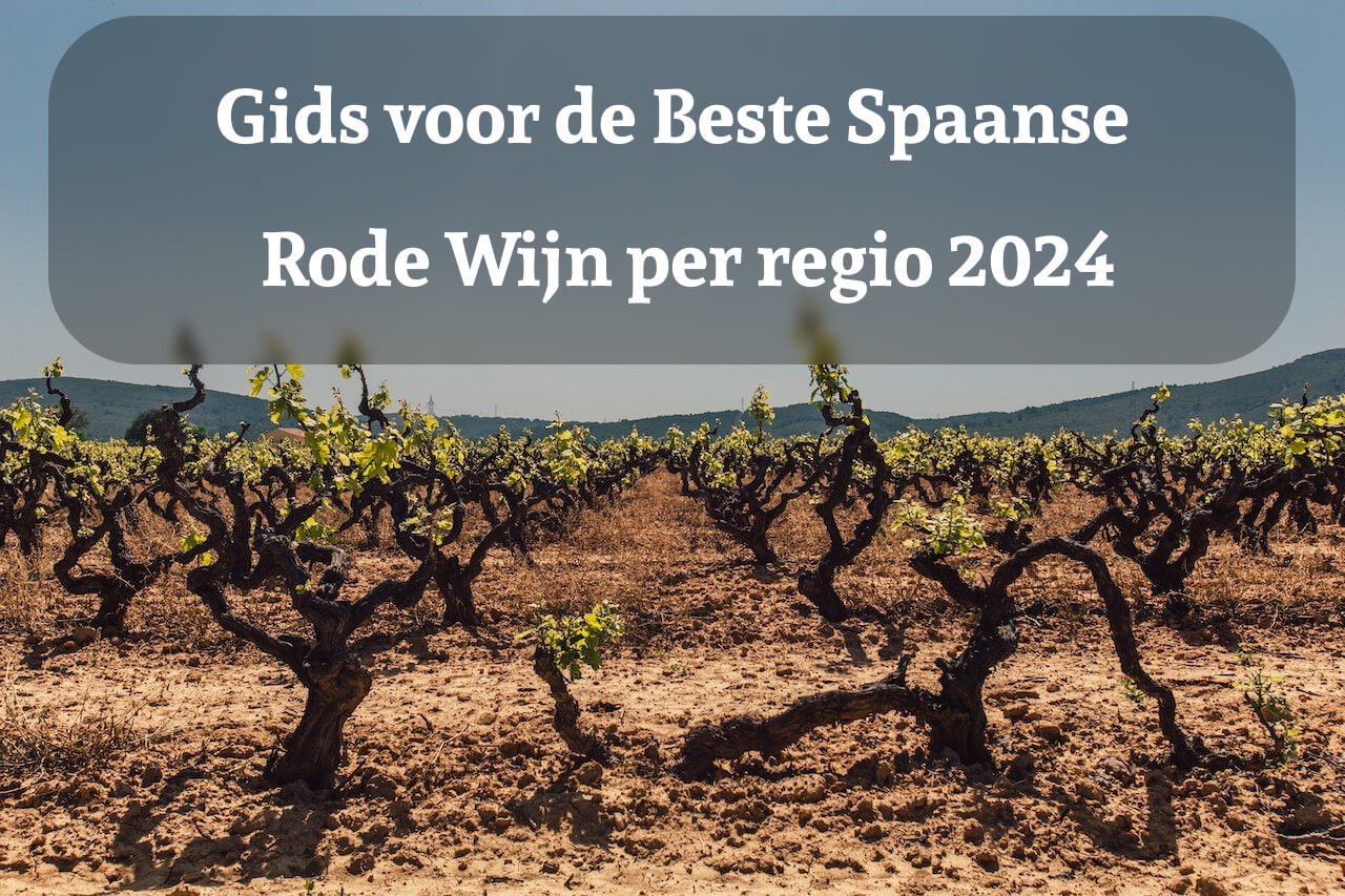 Gids voor de Beste Spaanse Rode Wijn per regio 2024