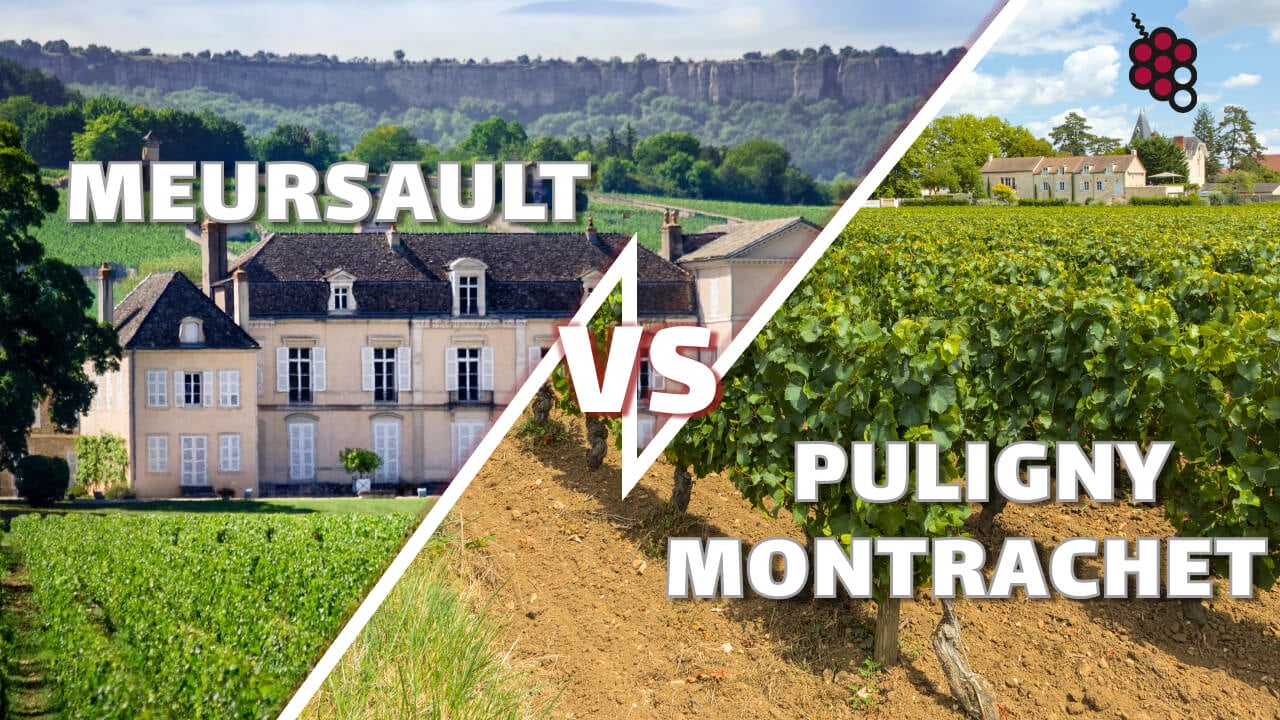 De sleutelrol van terroir: Meursault vs Puligny Montrachet en wat deze wijnen zo uniek maakt