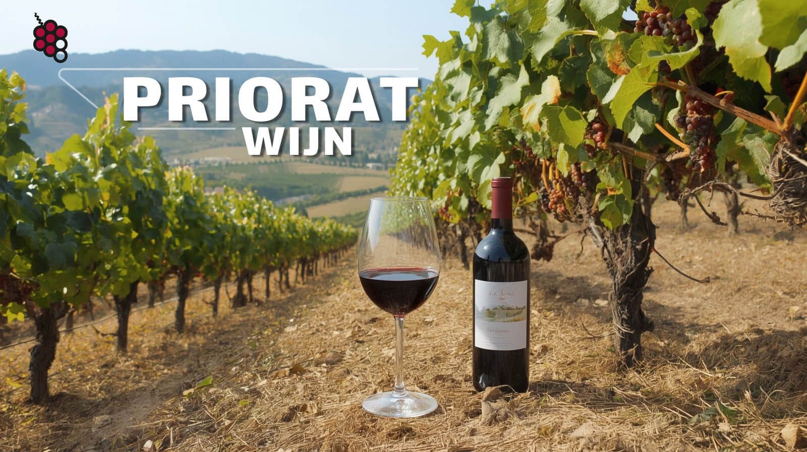 Priorat wijn: van oude kloosterlijke traditie tot moderne heropleving