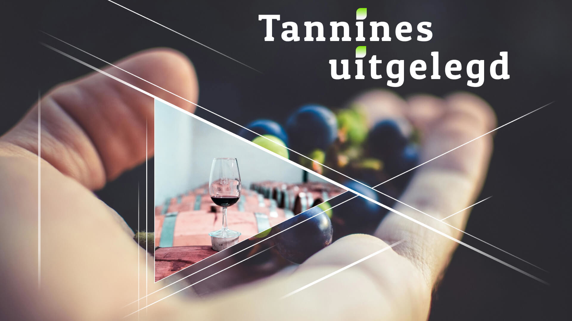 Uitleg over tannines: Hoe ze uw wijn beïnvloeden