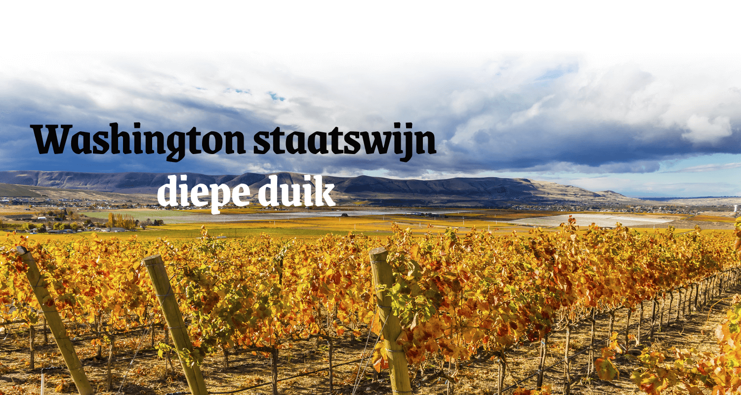 Washington staatswijn - diepe duik