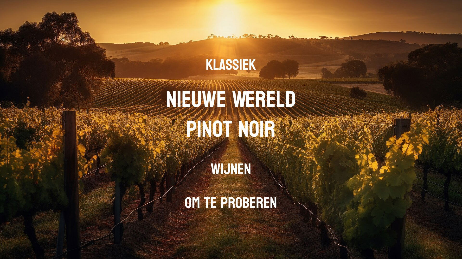 klassieke Pinot Noir wijnen uit de Nieuwe Wereld om te proberen